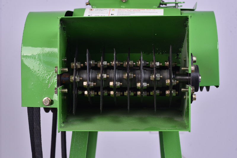 1733283224101777.jpg DSC_4533.JPG